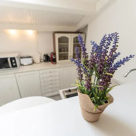 Apt Mia Appartement Zadar